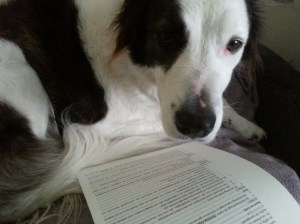 angel met de akte van oprichting 13052015