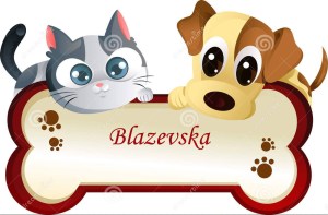 logo Blazevska