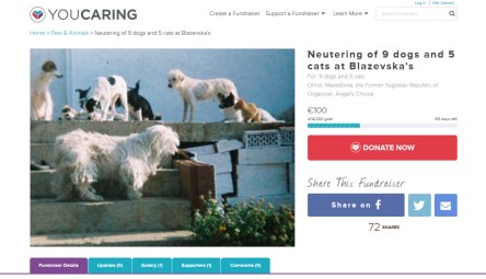 neutering fundraiser Blazevska