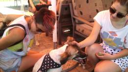 11725222_10206073848079017_723257593_o