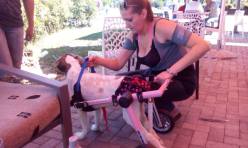 11746391_10206077975422198_1635603142_o