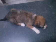 11750905_10206121560591800_1547002018_o