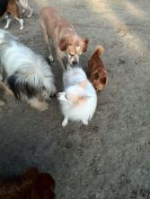 11855758_736648119778805_6759201728560409834_n