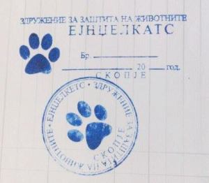 11897144_1653527298221197_1885152096_n