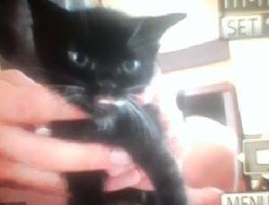 Matka  julia 04082015