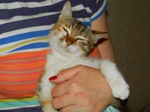 11701040_1651507561739650_9016695707409331386_n