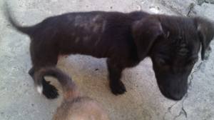 11840296_10206258604497812_142383979_o