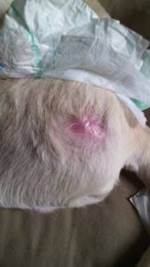 12042269_10206569155901403_335391609_n