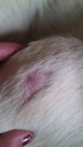 12067248_10206569157061432_3516075_n