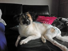 12119612_1001529849886840_768008484_o