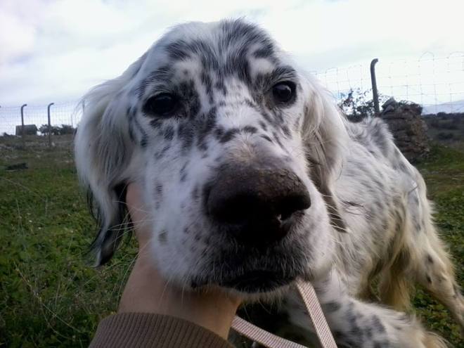 12286033_10204834411970258_921200239_n