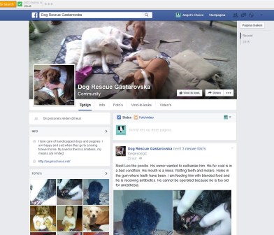 printscreen FB pagina 18112015 copy