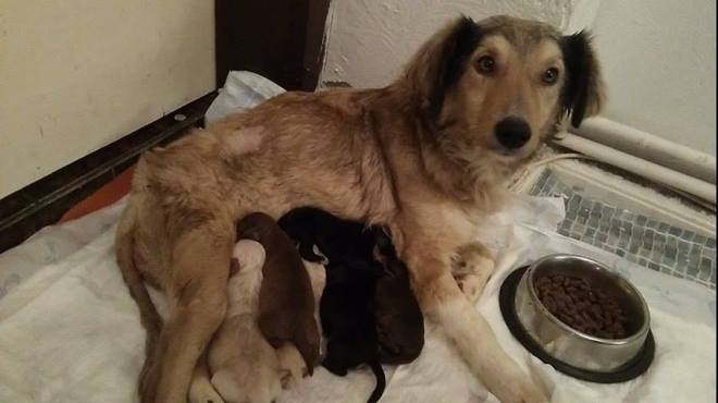 12648097_10154531489024097_1208685490_n