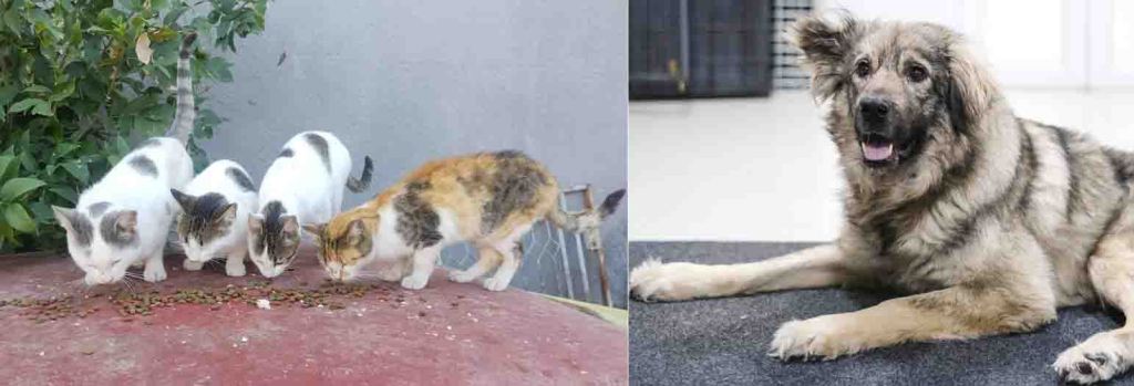 De huidige afbeelding heeft geen alternatieve tekst. De bestandsnaam is: jaarverslag-2025.jpg